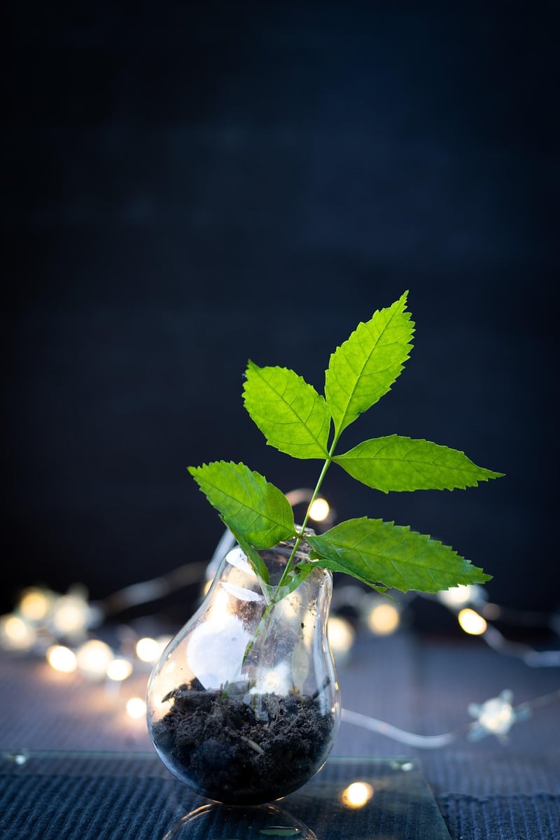 Budget-Friendly Upcycling